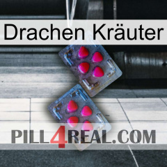 Drachen Kräuter 14